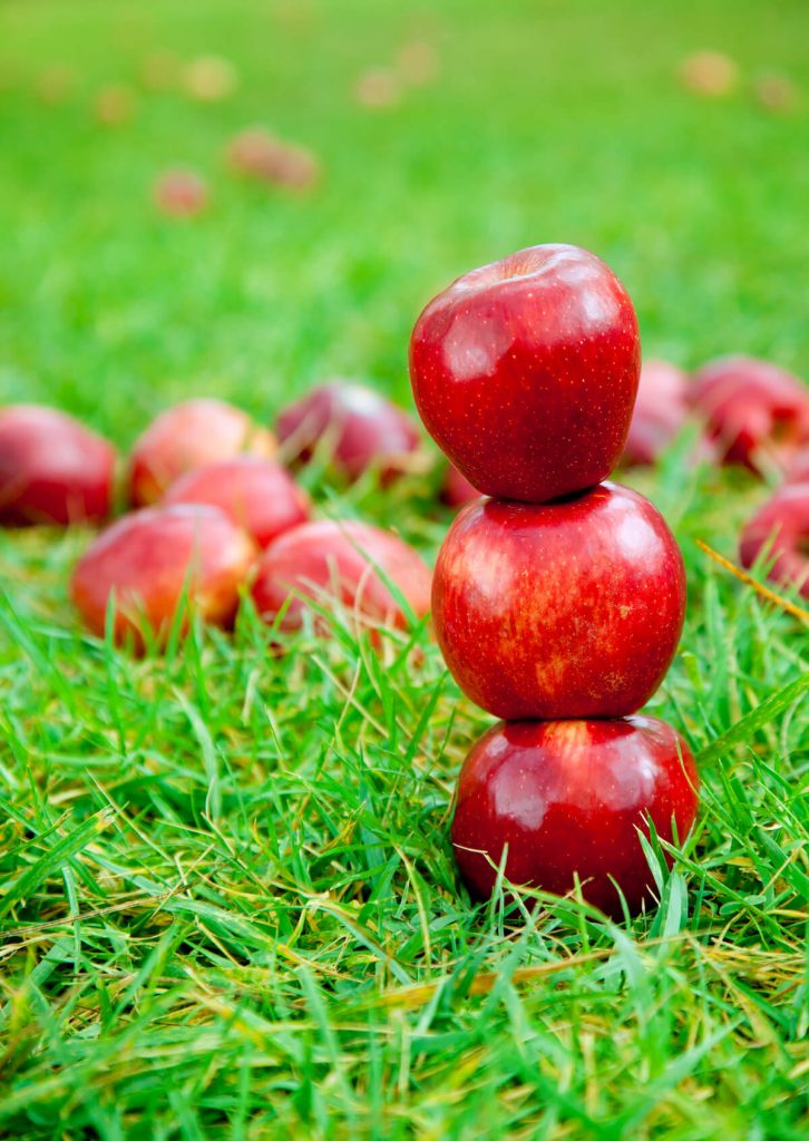 Three red apples to demonstrate "Haut comme trois pommes"