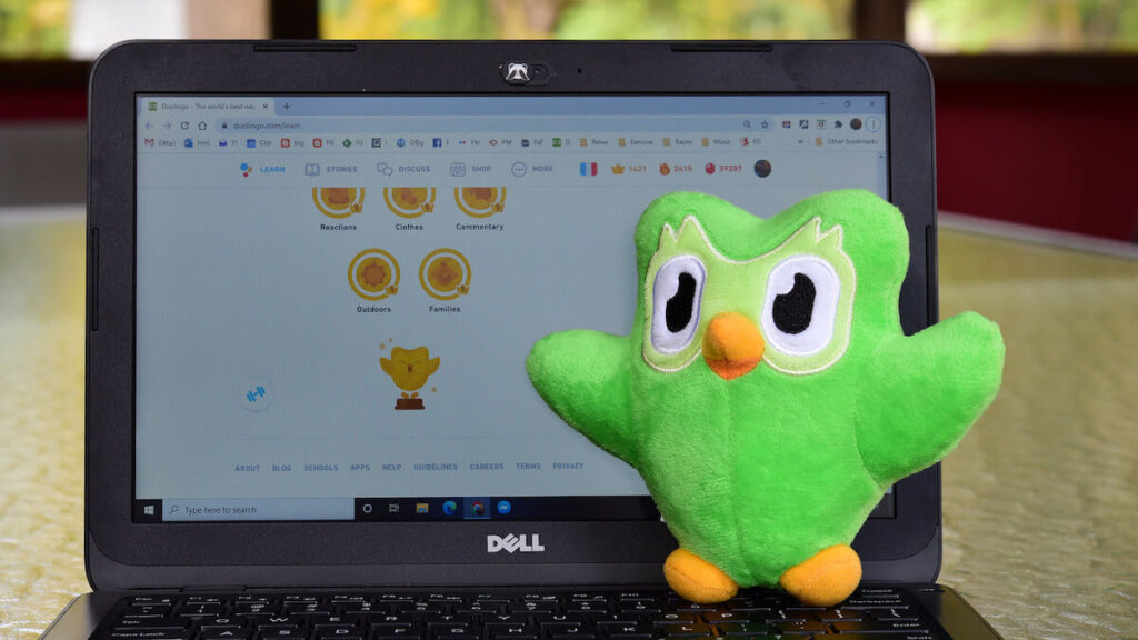 Duolingo plush toy