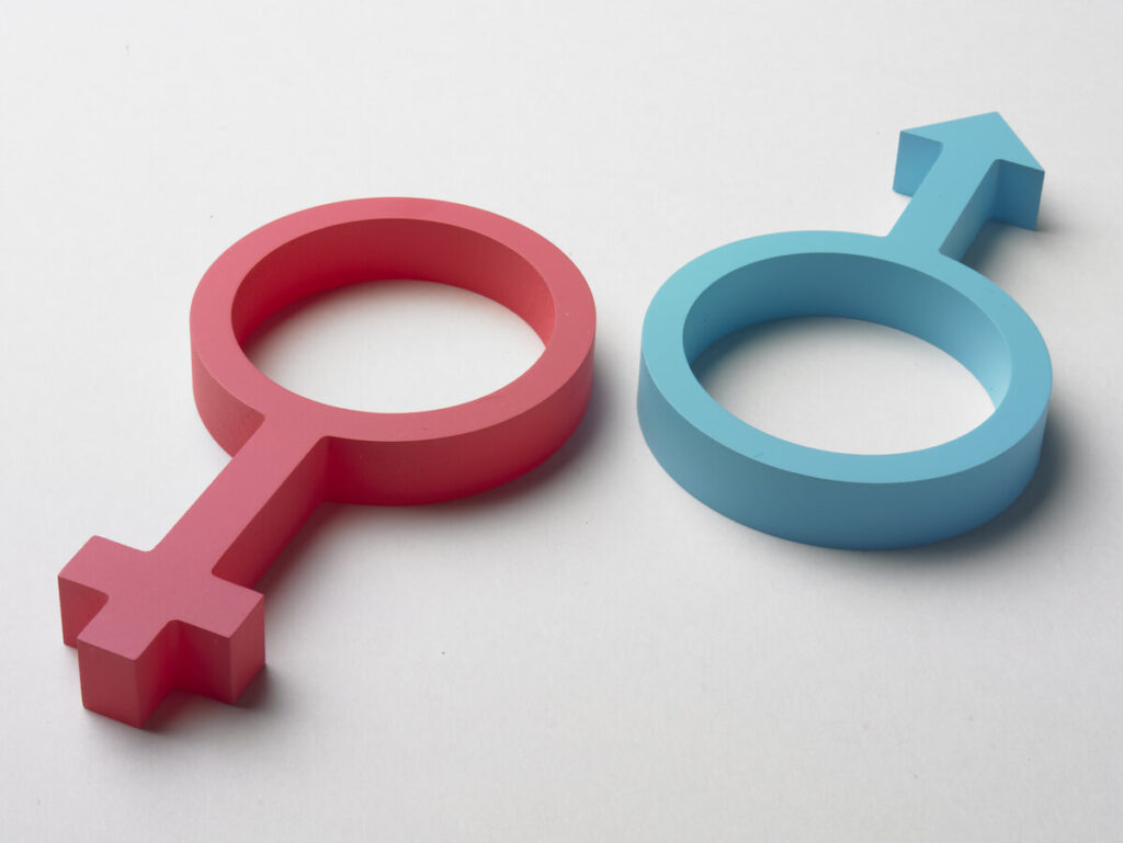 Gender icons to represent gendered nouns