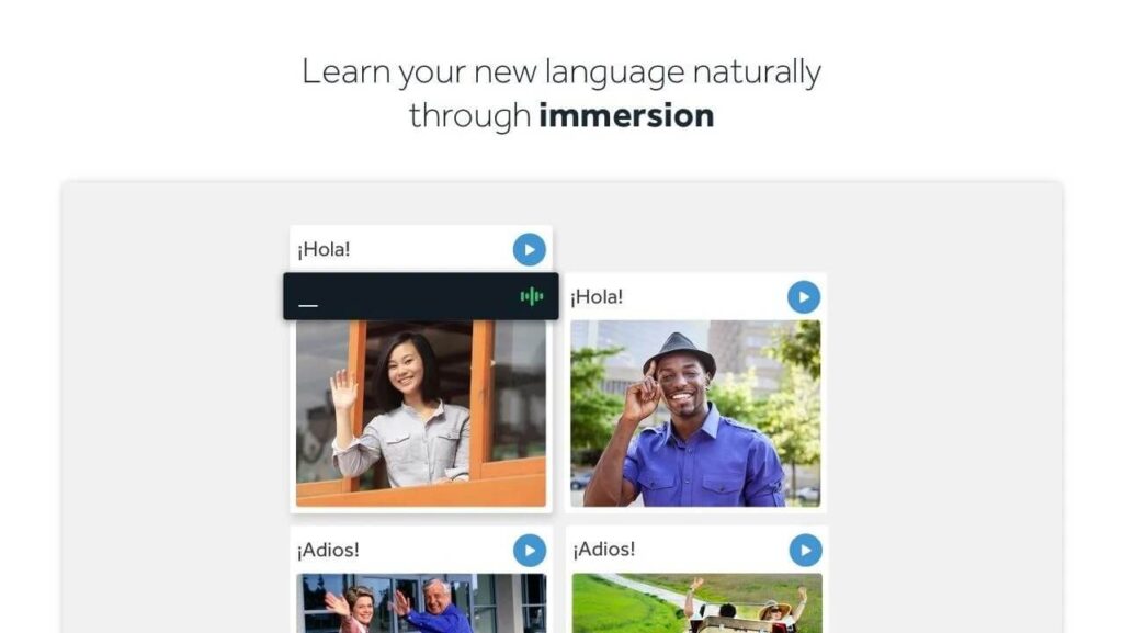 Rosetta Stone immersion