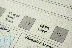 Spanish Language Levels Explained: A Guide to Testing Your Spanish ...