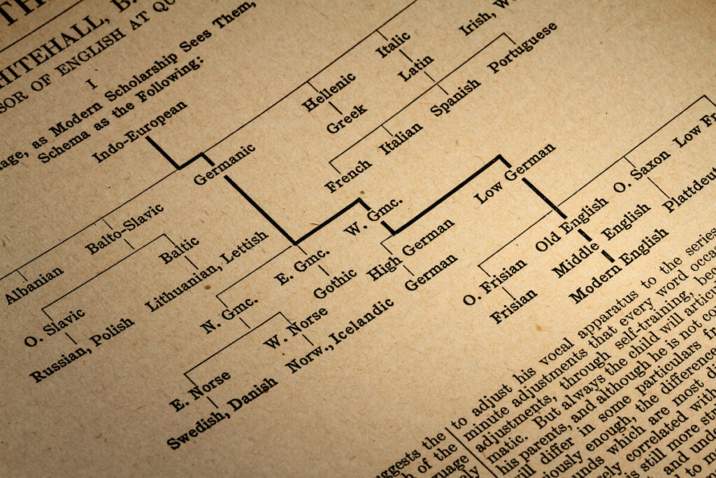 Explanation of the Evolution of English Language from Indo-European to Modern English