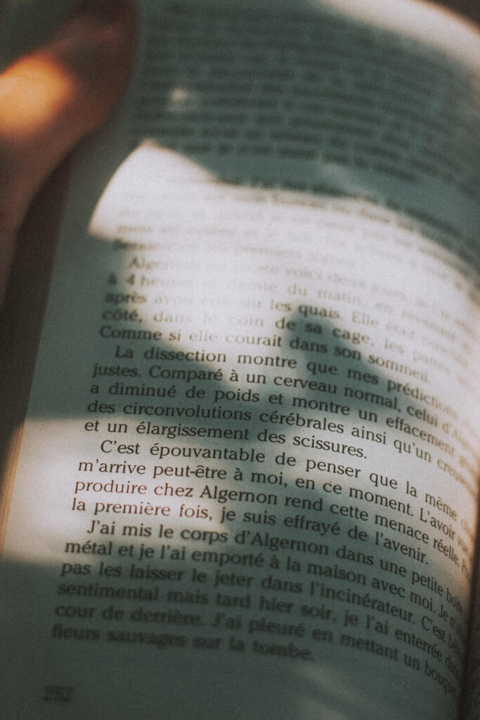 sunlight shining on a page from a French romance novel