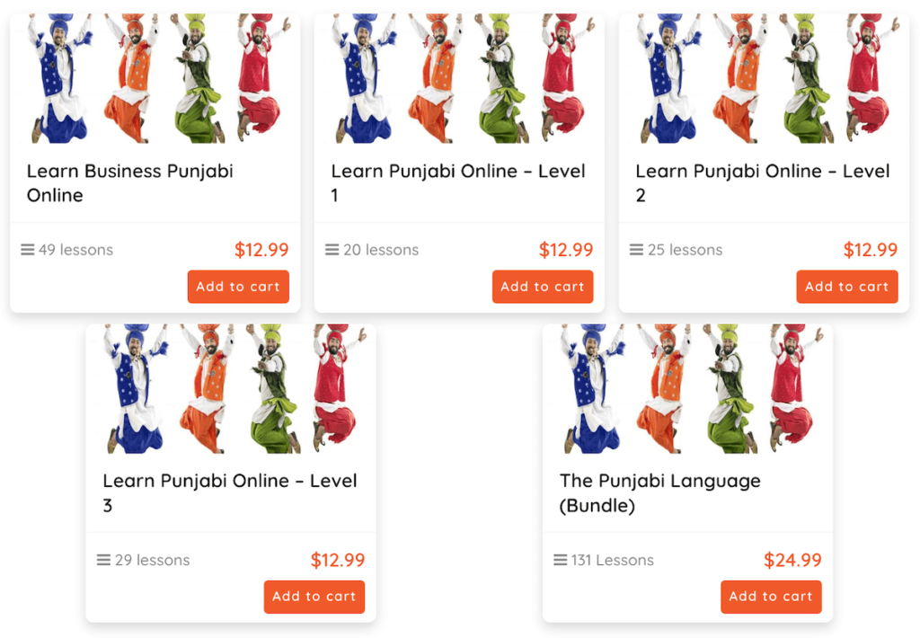 Learn Punjabi on Cudoo