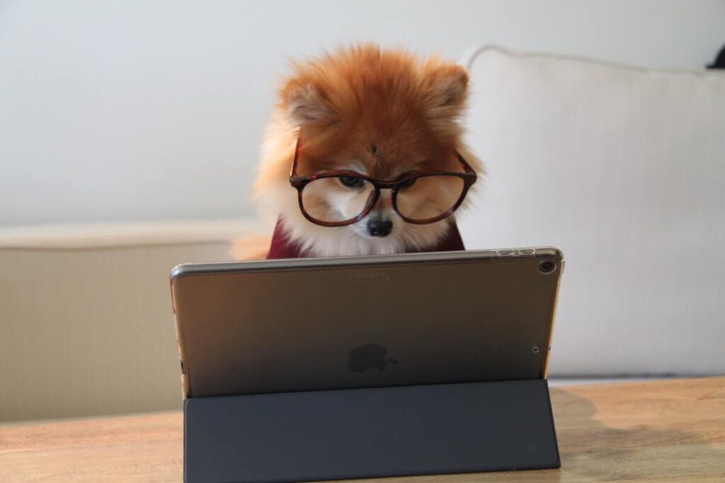 dog wearing glasses in front of tablet