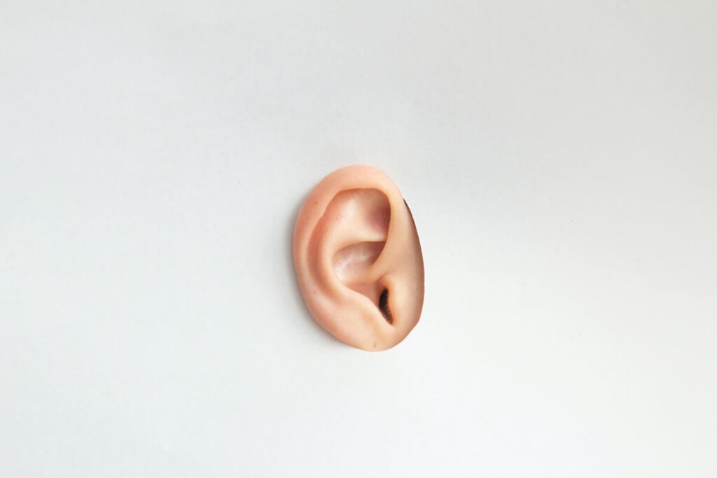 ear sticking out of hole on wall
