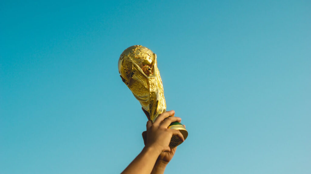 person holds the FIFA world cup