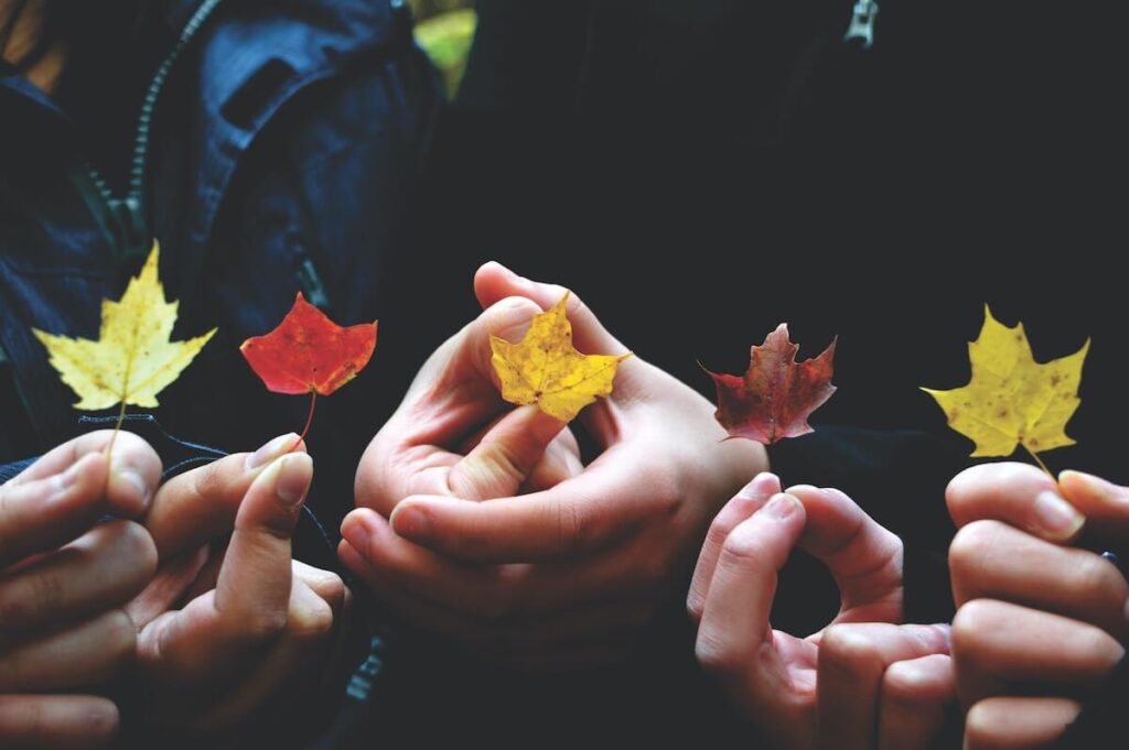 people holding leaves in different colors