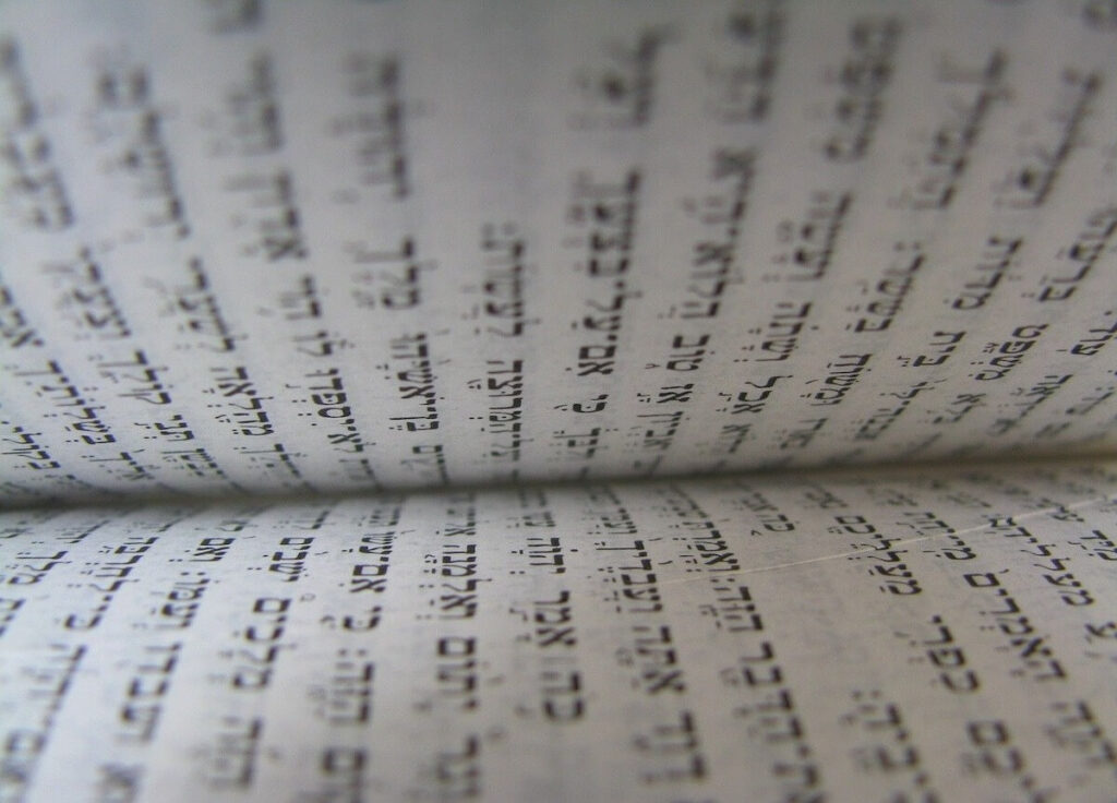 reading inside torah