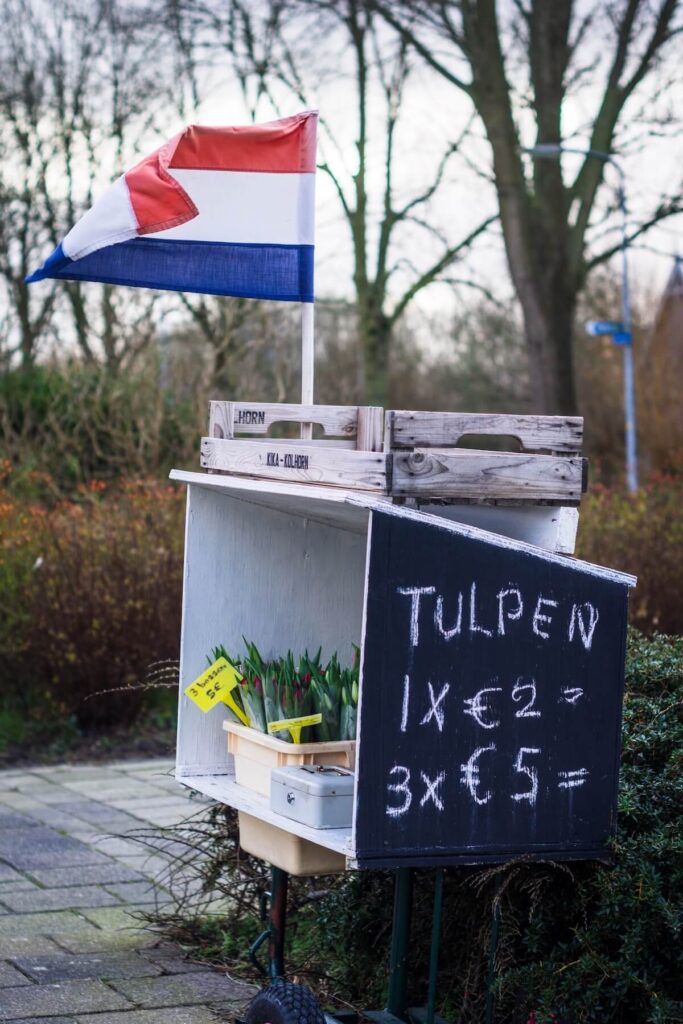 small tulip stall in Netherlands