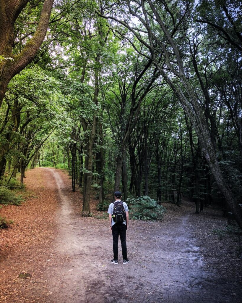 man stands before fork in trail