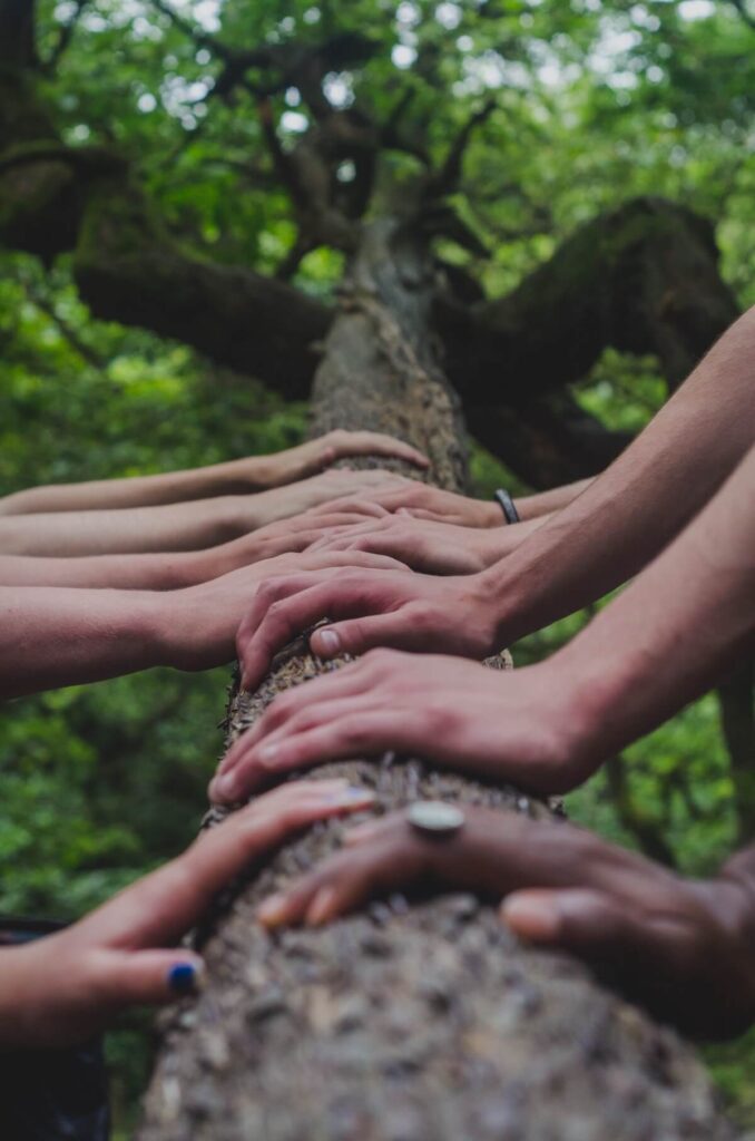 group of people with hands on tree trunk