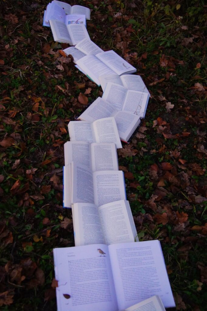 path of books on grass