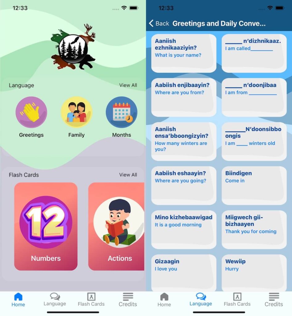 Learn Ojibwe on Aamjiwnaang app
