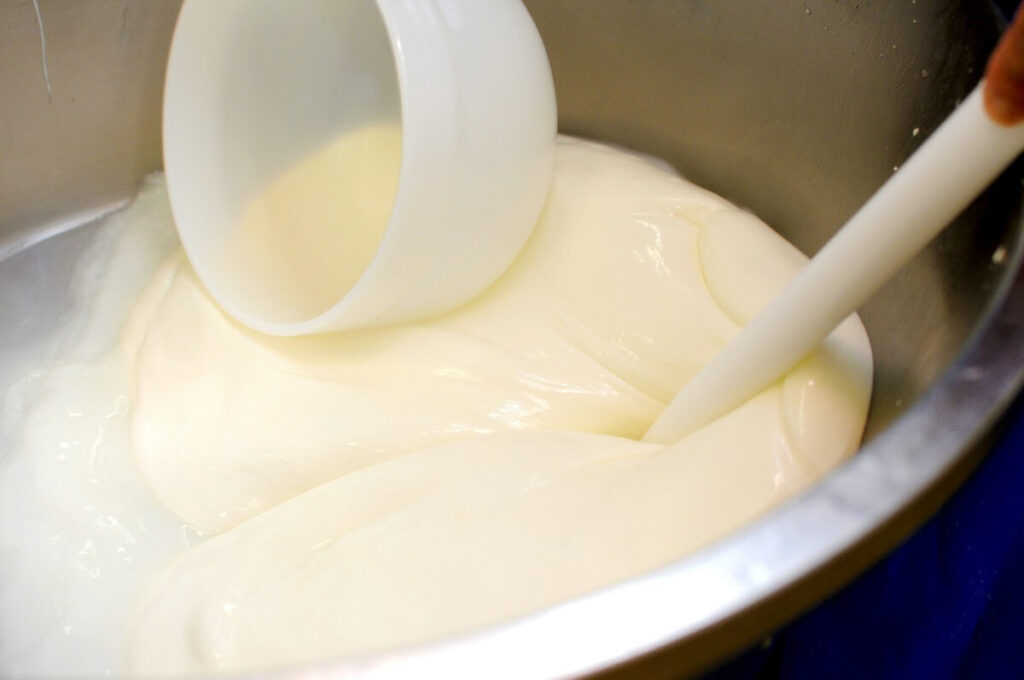 preparing cheese at italian dairy