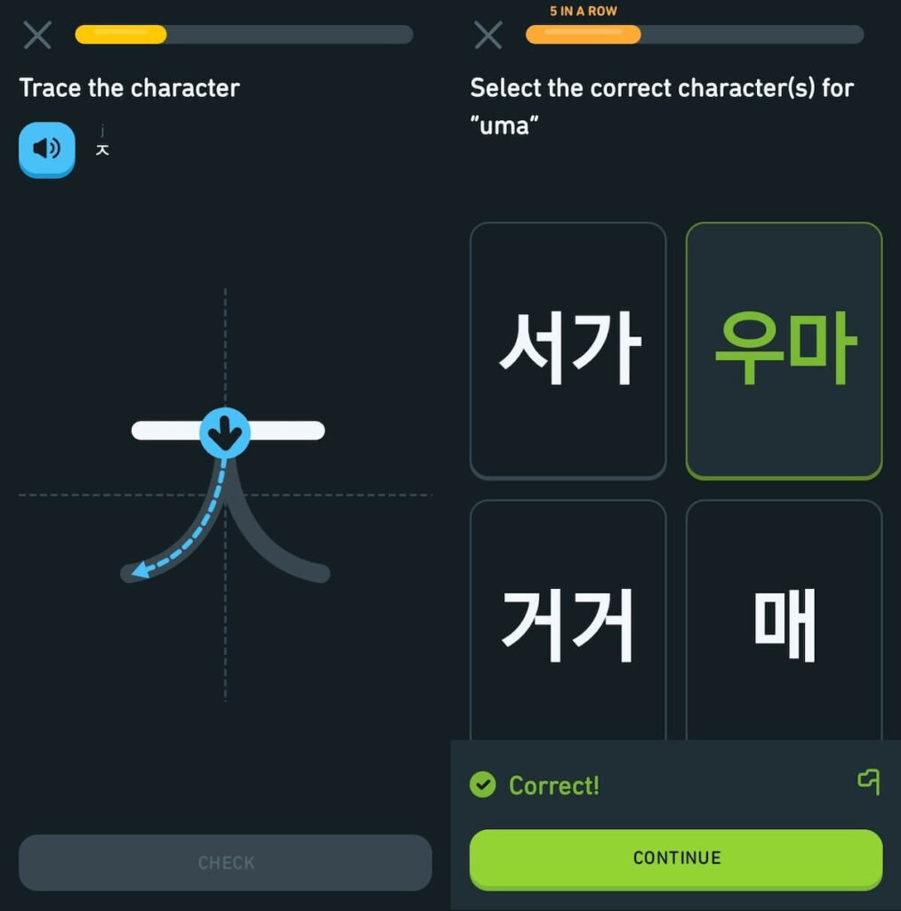 Duolingo writing lessons