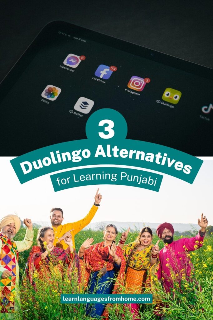 Duolingo Punjabi pinterest image