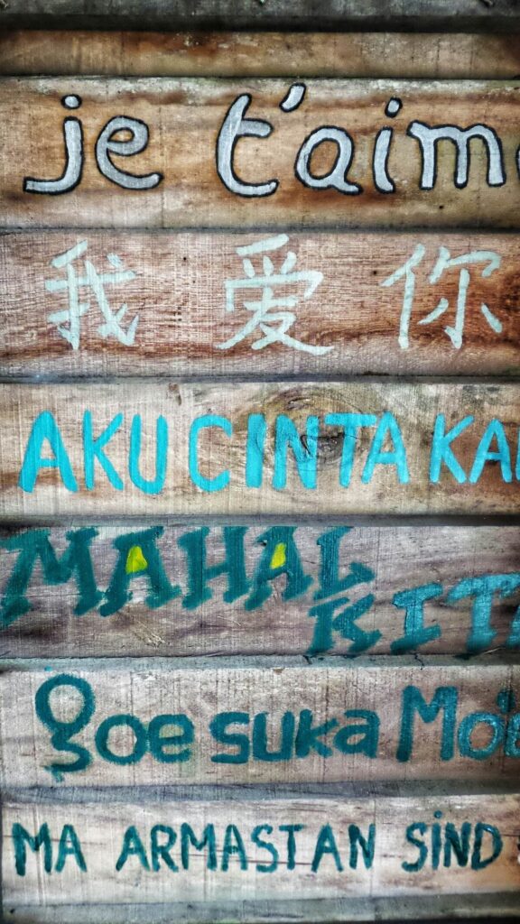 wooden signage showing different languages