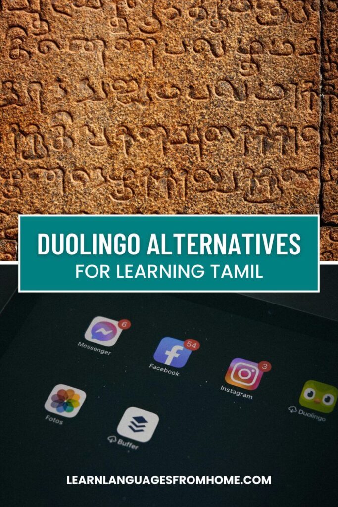 Duolingo Tamil - Pinterest image