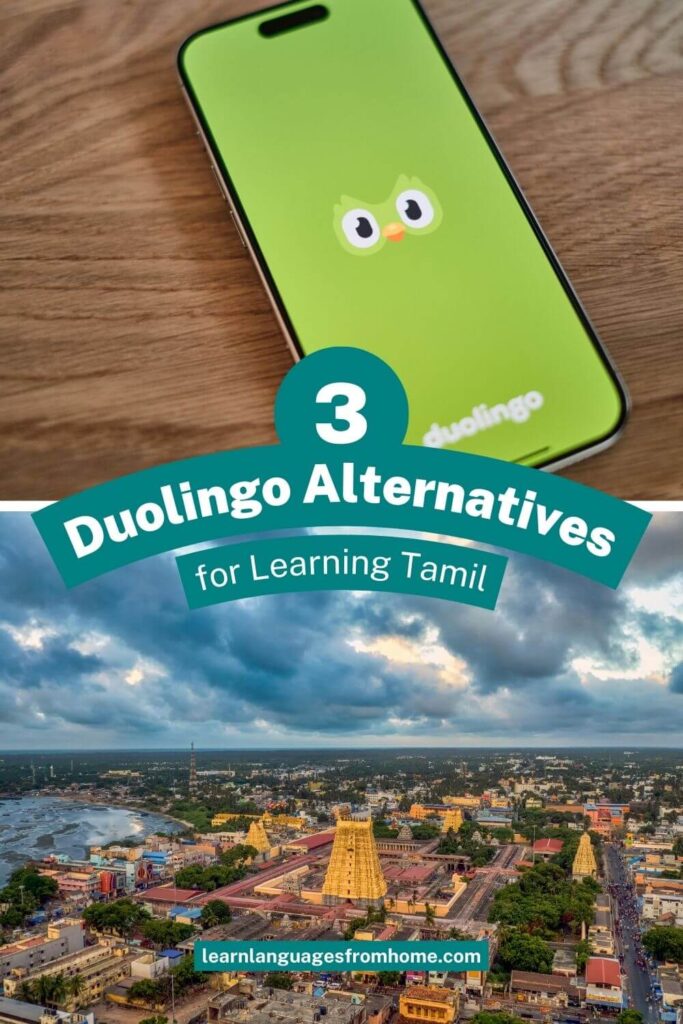 Duolingo Tamil - Pinterest image