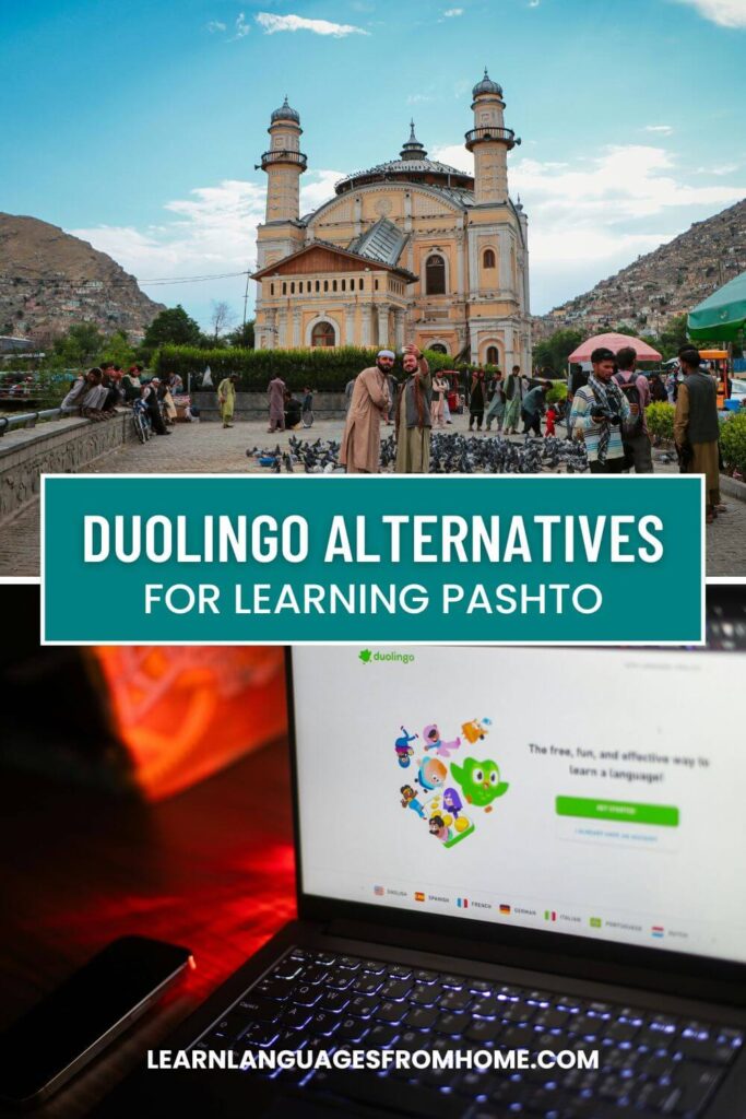 Duolingo Pashto pinterest image