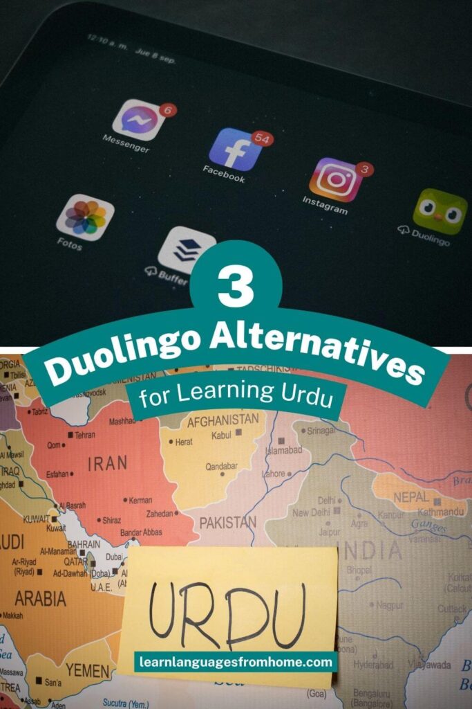 Duolingo Urdu pinterest image