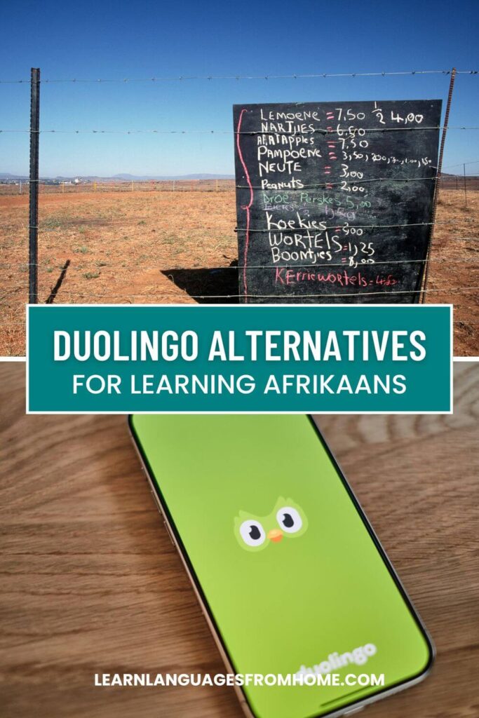 duolingo afrikaans pinterest image