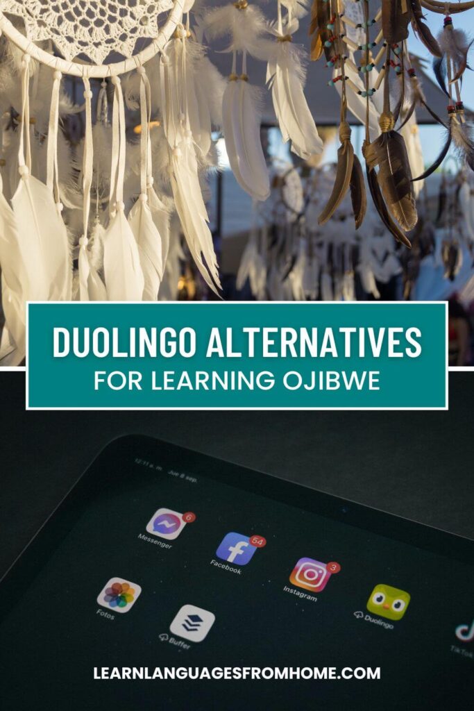 duolingo ojibwe pinterest image