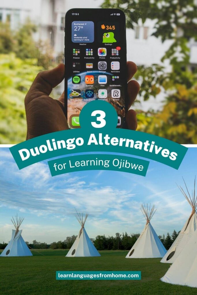 duolingo ojibwe pinterest image