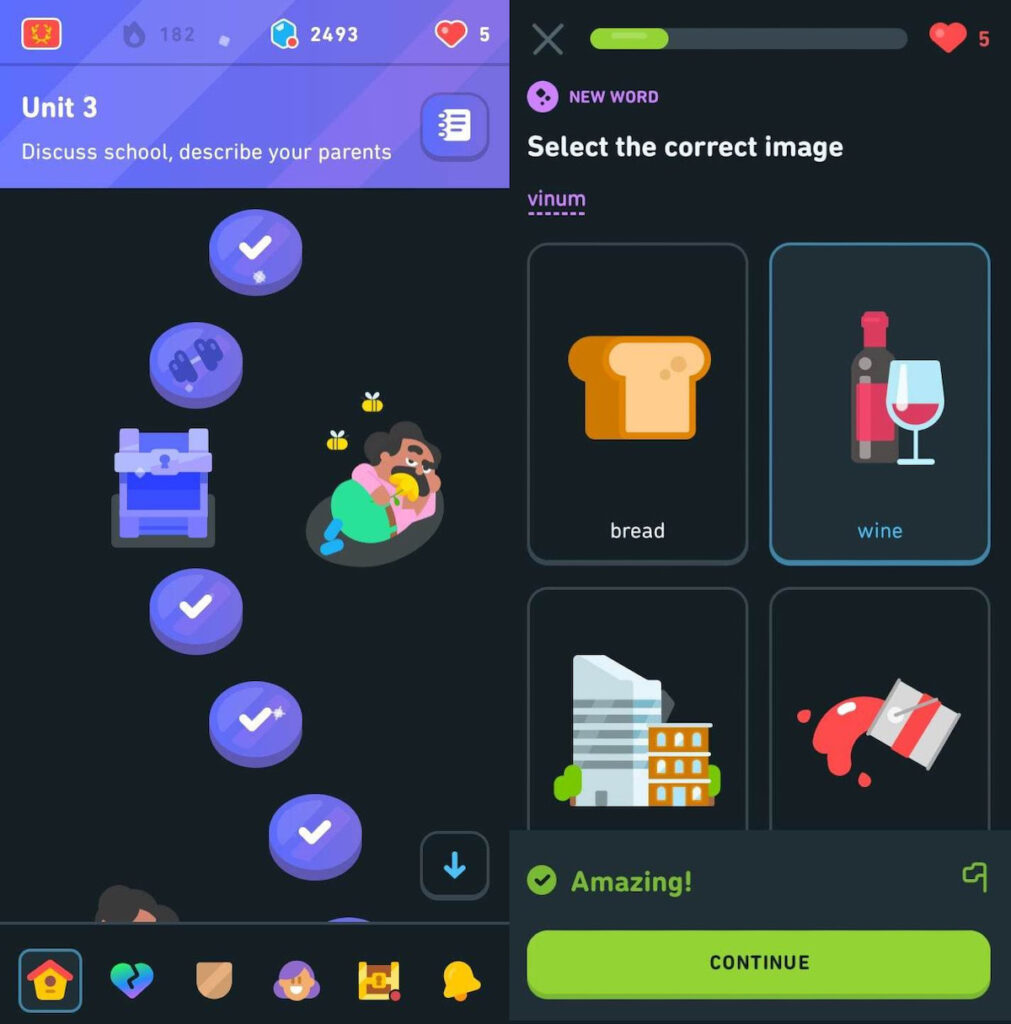 Duolingo lessons